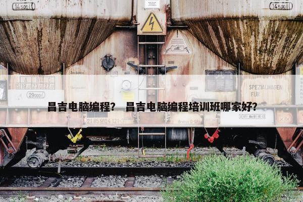 昌吉电脑编程？ 昌吉电脑编程培训班哪家好？