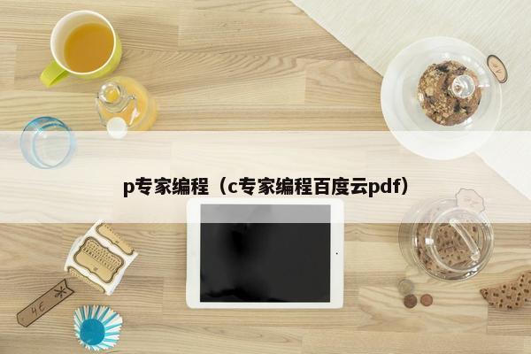p专家编程（c专家编程百度云pdf）