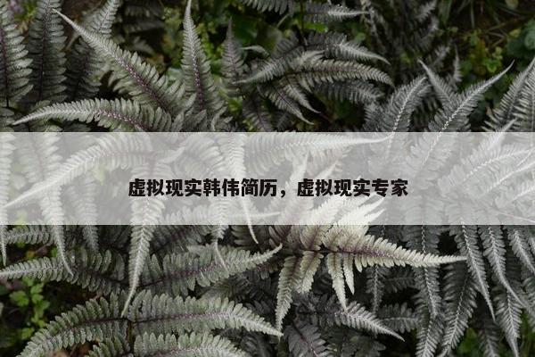 虚拟现实韩伟简历，虚拟现实专家