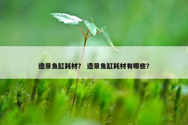 造景鱼缸耗材？ 造景鱼缸耗材有哪些？