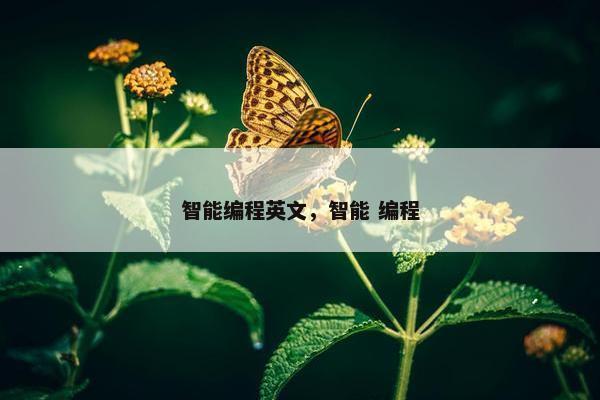 智能编程英文，智能 编程