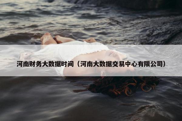 河南财务大数据时间（河南大数据交易中心有限公司）