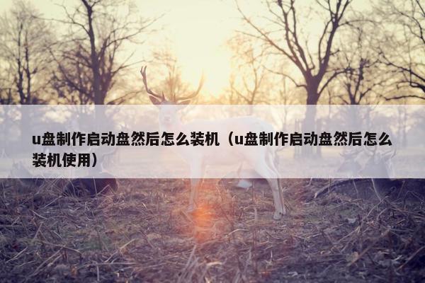 u盘制作启动盘然后怎么装机（u盘制作启动盘然后怎么装机使用）