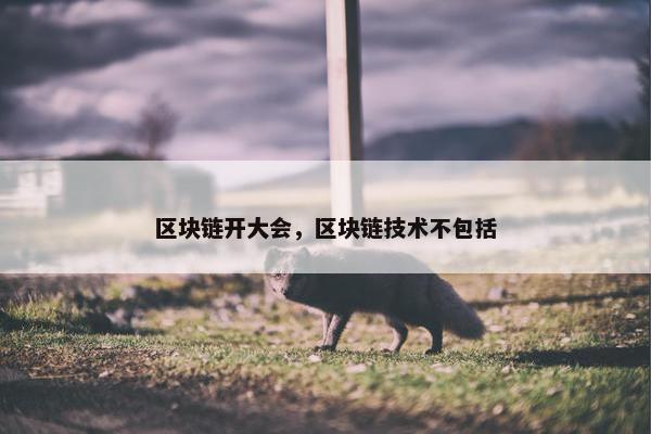 区块链开大会，区块链技术不包括