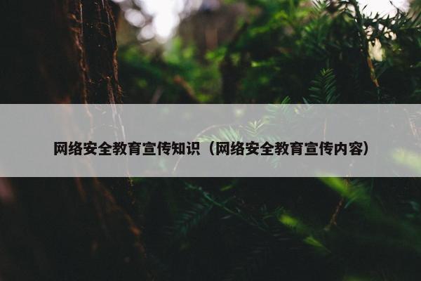 网络安全教育宣传知识（网络安全教育宣传内容）