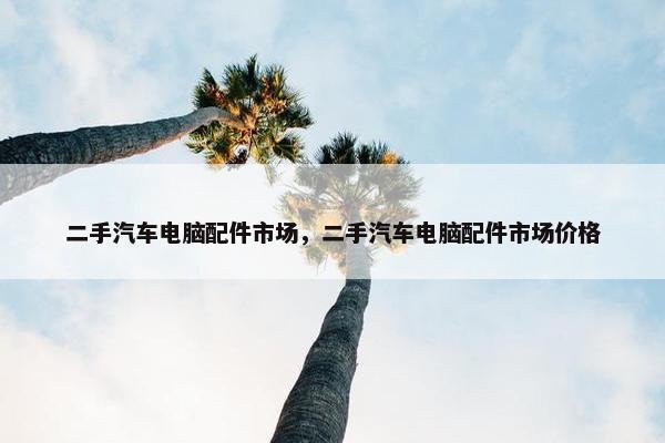 二手汽车电脑配件市场，二手汽车电脑配件市场价格
