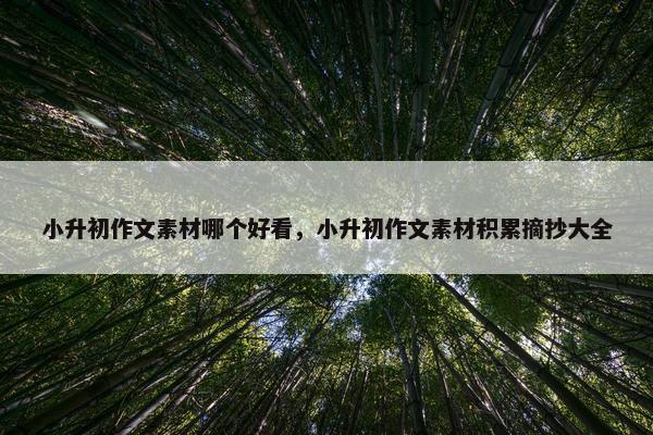 小升初作文素材哪个好看，小升初作文素材积累摘抄大全