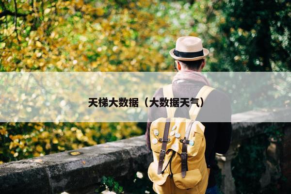 天梯大数据（大数据天气）