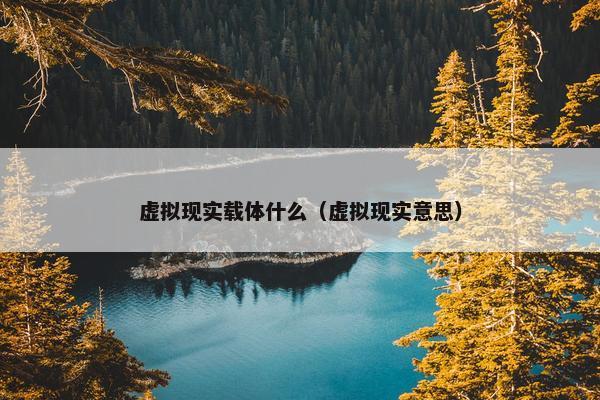 虚拟现实载体什么（虚拟现实意思）