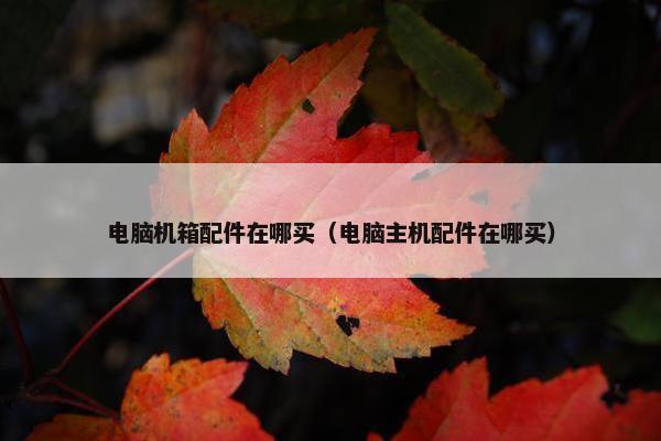 电脑机箱配件在哪买（电脑主机配件在哪买）