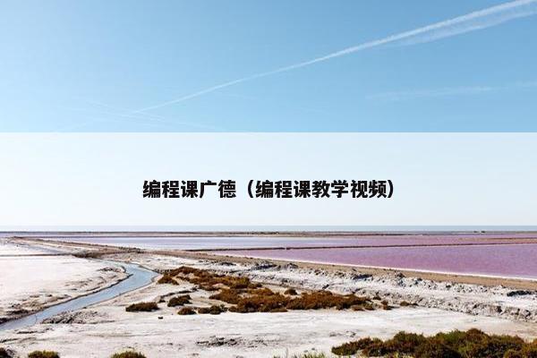 编程课广德（编程课教学视频）
