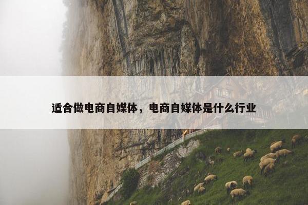 适合做电商自媒体，电商自媒体是什么行业
