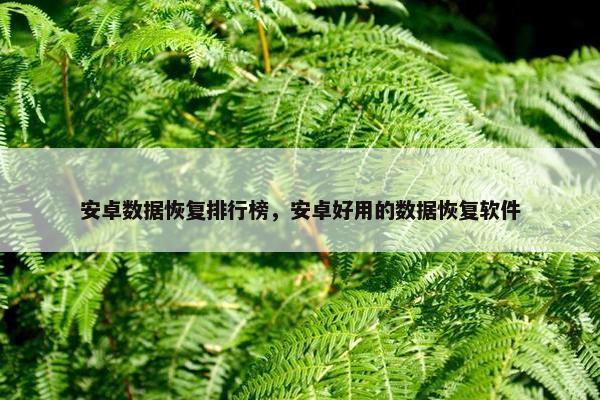 安卓数据恢复排行榜，安卓好用的数据恢复软件