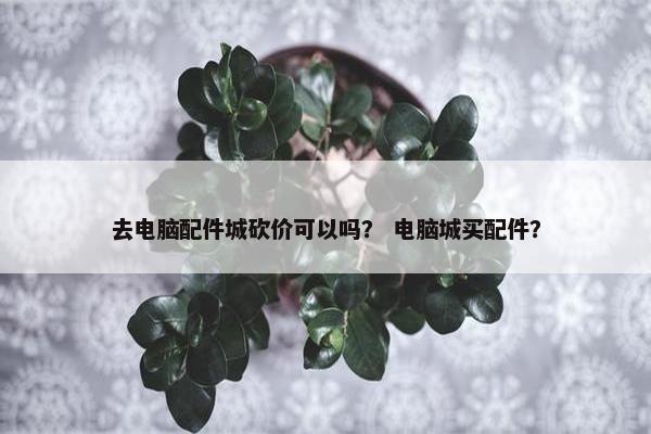 去电脑配件城砍价可以吗？ 电脑城买配件？