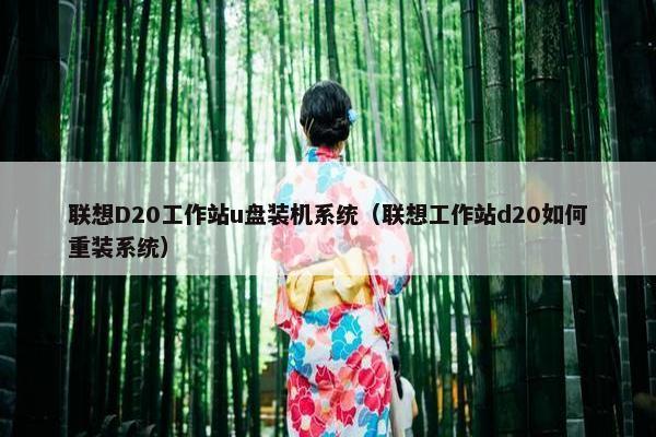 联想D20工作站u盘装机系统（联想工作站d20如何重装系统）