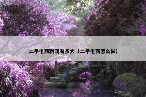 二手电商利润有多大（二手电商怎么做）