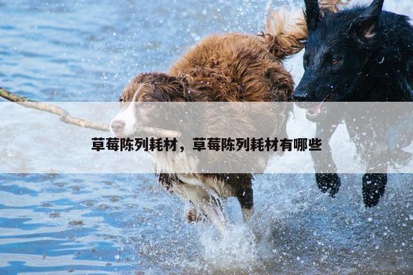 草莓陈列耗材，草莓陈列耗材有哪些