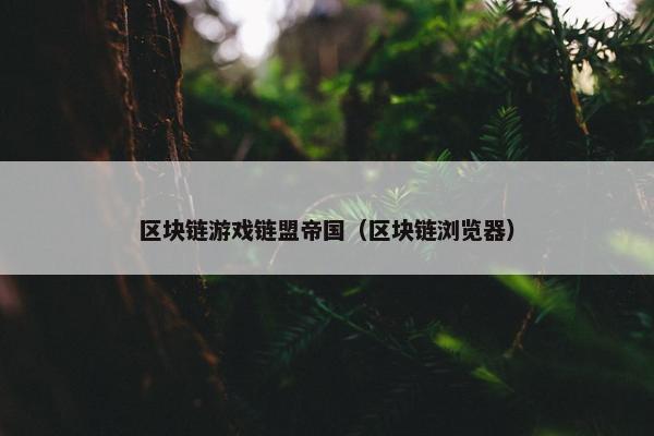 区块链游戏链盟帝国（区块链浏览器）