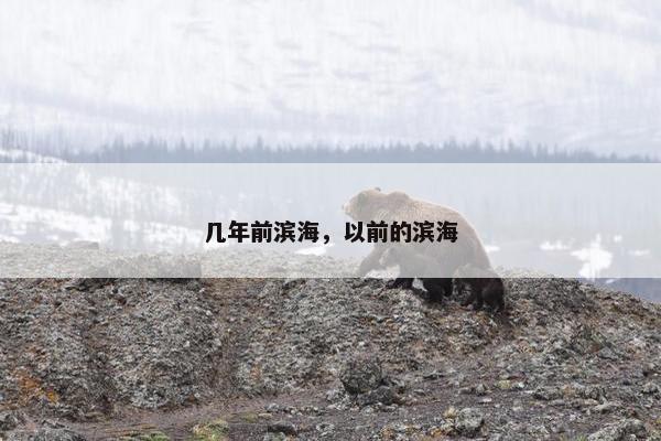 几年前滨海，以前的滨海