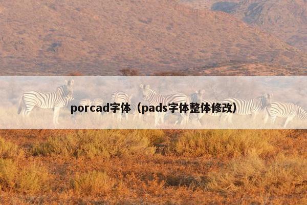 porcad字体（pads字体整体修改）