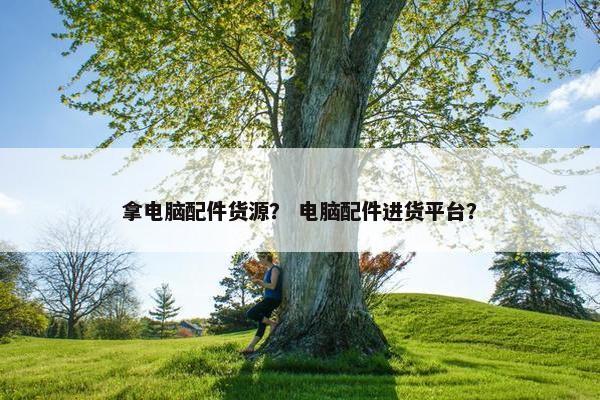 拿电脑配件货源？ 电脑配件进货平台？