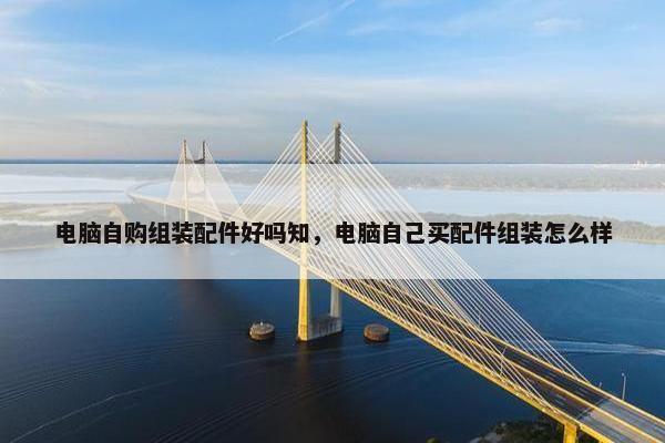 电脑自购组装配件好吗知，电脑自己买配件组装怎么样