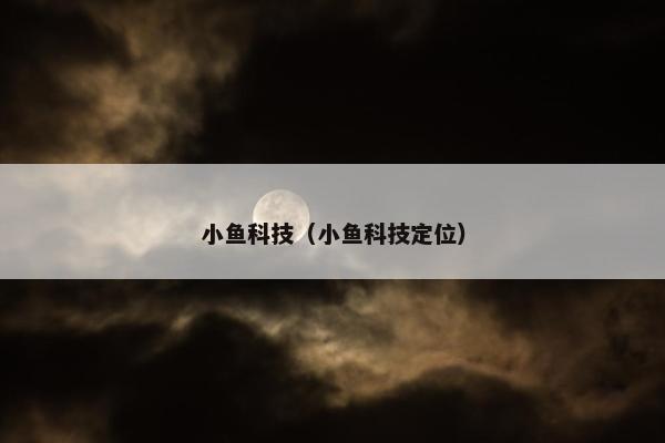 小鱼科技（小鱼科技定位）