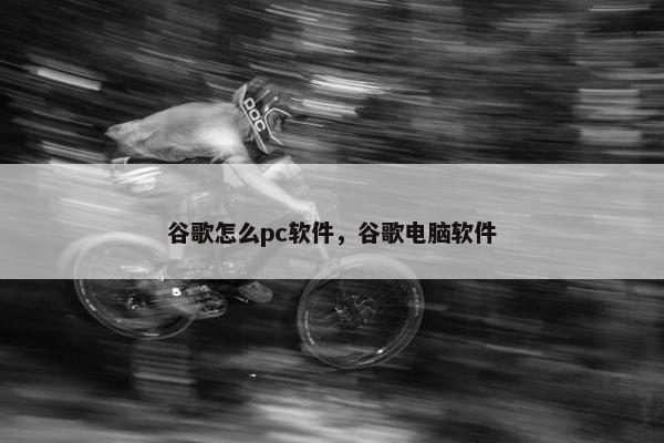 谷歌怎么pc软件，谷歌电脑软件