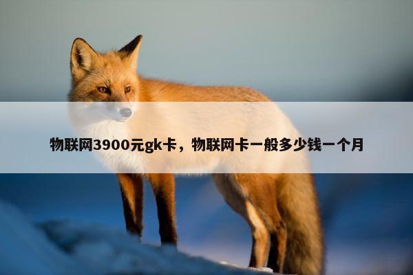 物联网3900元gk卡，物联网卡一般多少钱一个月