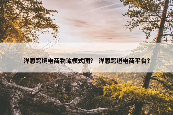 洋葱跨境电商物流模式图？ 洋葱跨进电商平台？