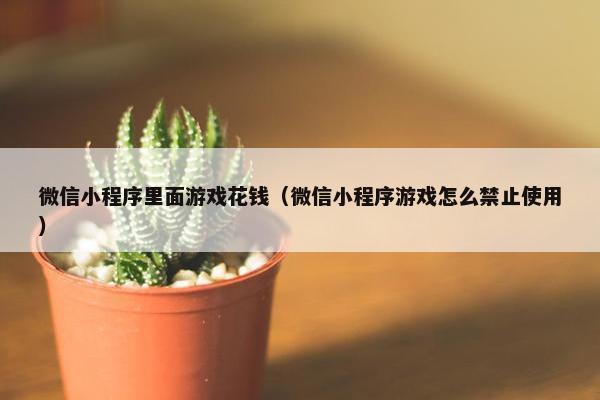 微信小程序里面游戏花钱（微信小程序游戏怎么禁止使用）