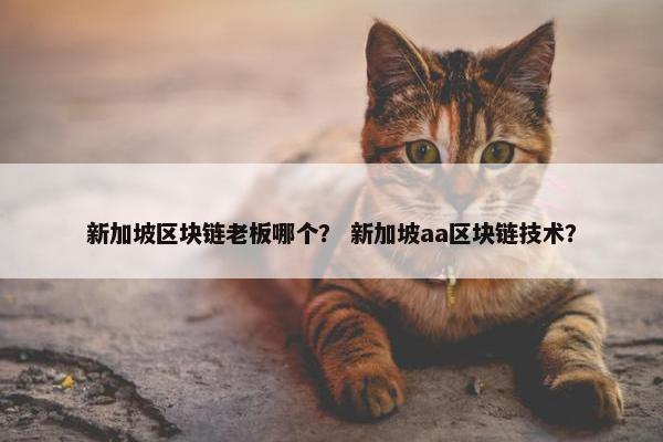 新加坡区块链老板哪个？ 新加坡aa区块链技术？