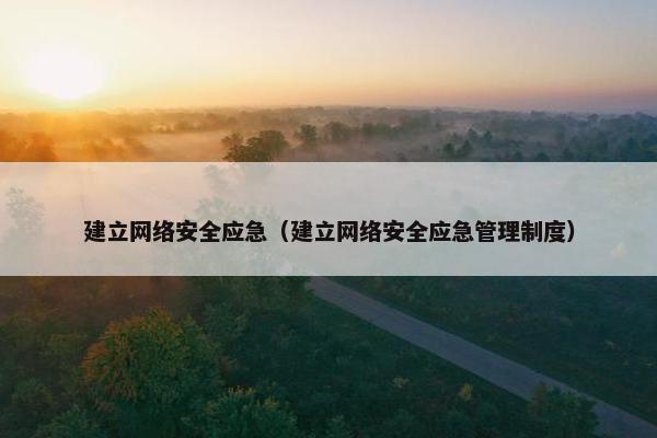 建立网络安全应急（建立网络安全应急管理制度）