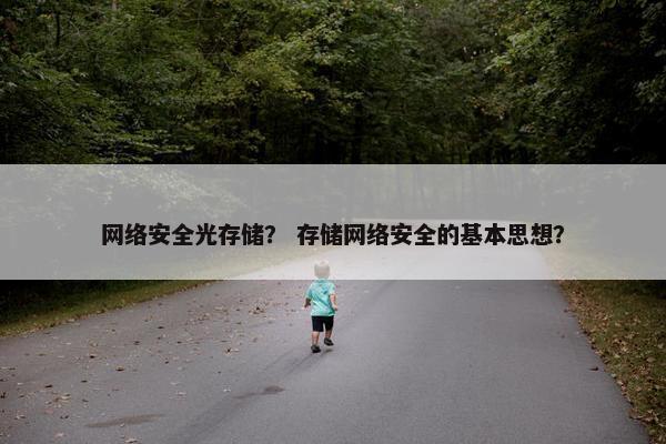 网络安全光存储？ 存储网络安全的基本思想？