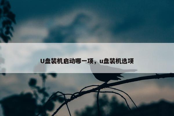 U盘装机启动哪一项，u盘装机选项