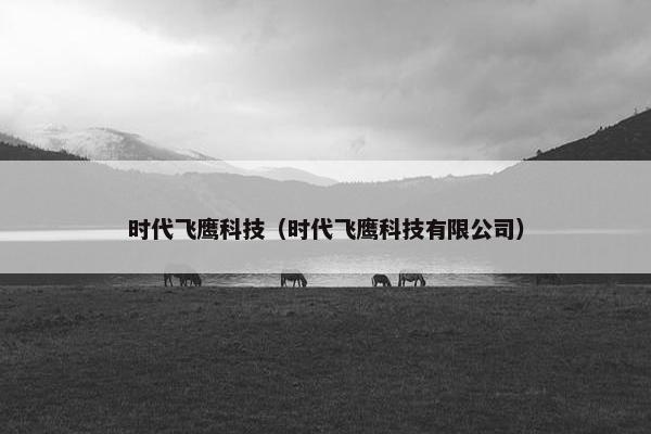 时代飞鹰科技（时代飞鹰科技有限公司）