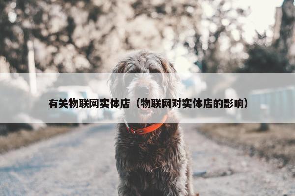有关物联网实体店（物联网对实体店的影响）
