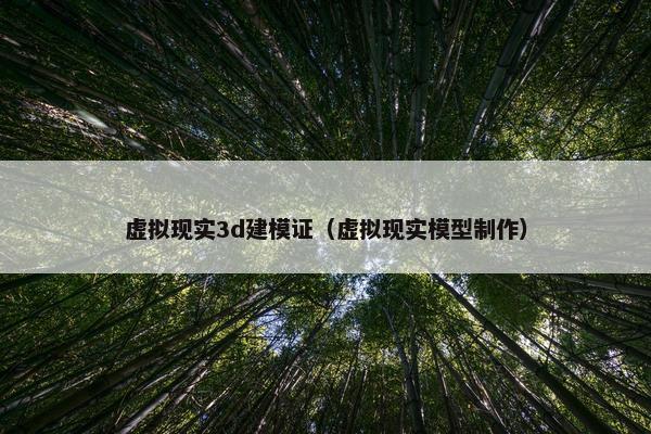 虚拟现实3d建模证（虚拟现实模型制作）
