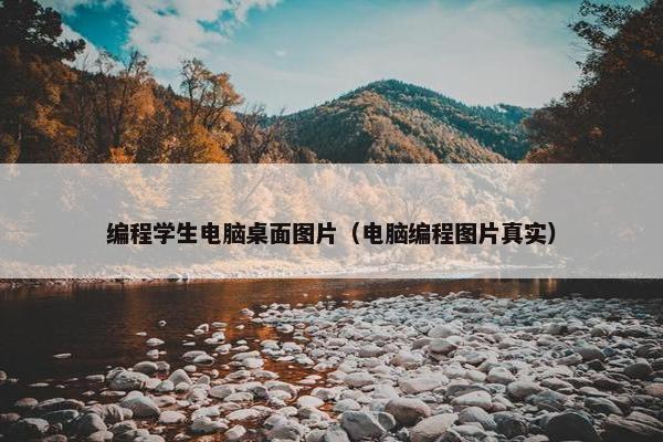 编程学生电脑桌面图片（电脑编程图片真实）