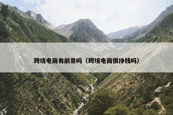 跨境电商有前景吗（跨境电商很挣钱吗）