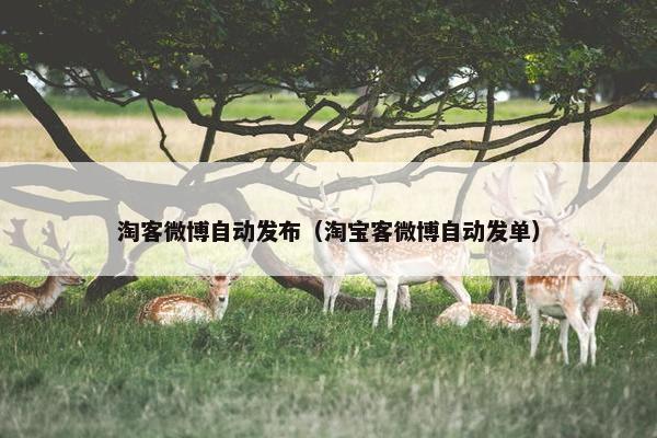 淘客微博自动发布（淘宝客微博自动发单）
