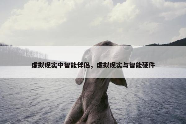 虚拟现实中智能伴侣，虚拟现实与智能硬件