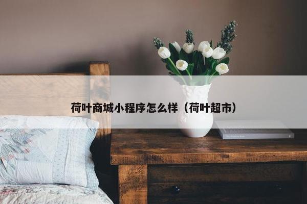荷叶商城小程序怎么样（荷叶超市）
