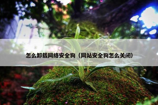 怎么卸载网络安全狗（网站安全狗怎么关闭）