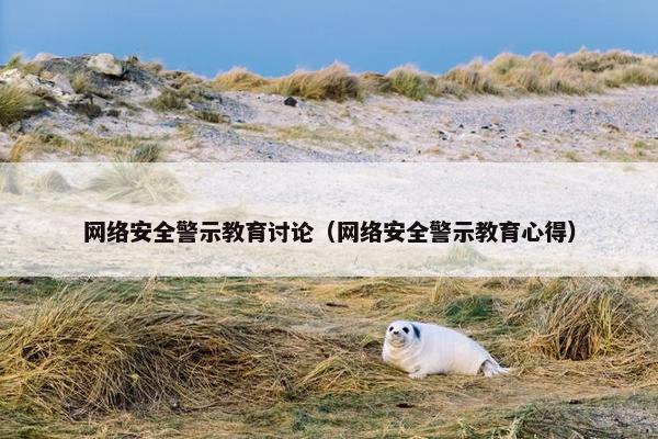 网络安全警示教育讨论（网络安全警示教育心得）