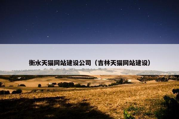 衡水天猫网站建设公司（吉林天猫网站建设）