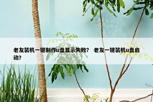 老友装机一键制作u盘显示失败？ 老友一键装机u盘启动？