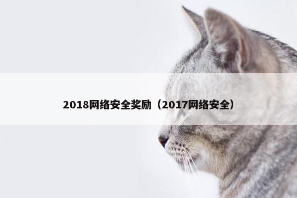 2018网络安全奖励（2017网络安全）