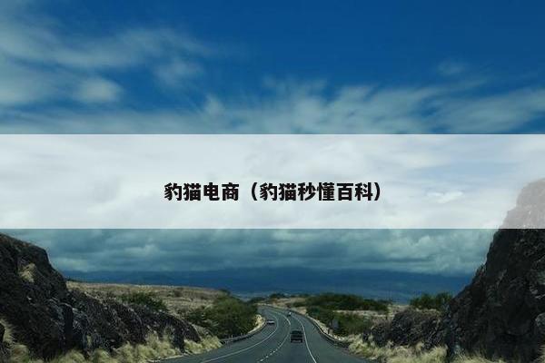 豹猫电商（豹猫秒懂百科）