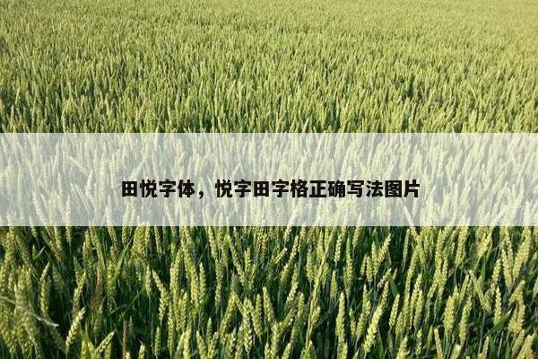 田悦字体，悦字田字格正确写法图片